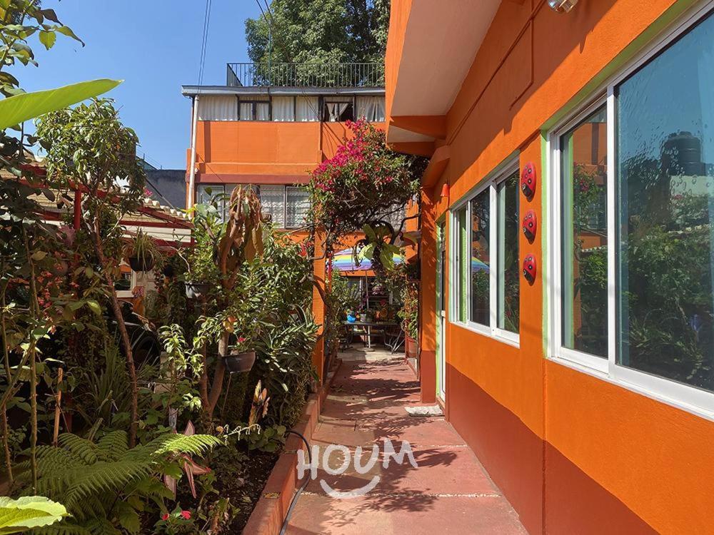 Hermoso Depa De 3 Recamaras Y 2 Banos En El Centro De Coyoacan Daire Meksika Dış mekan fotoğraf