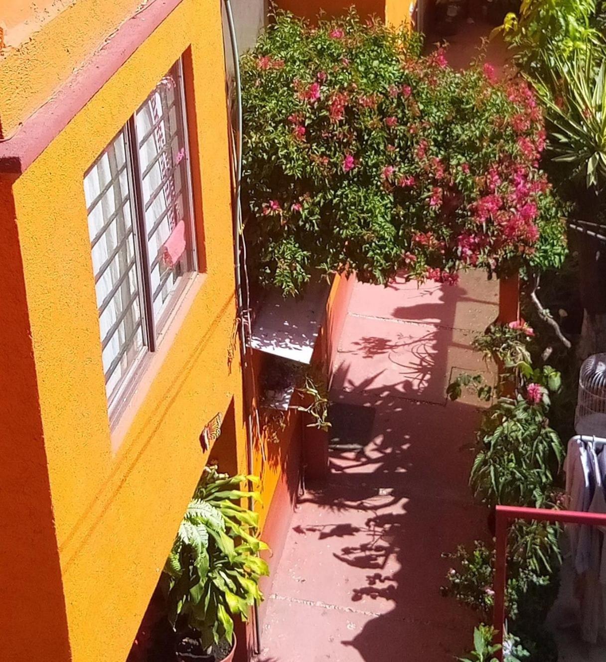 Hermoso Depa De 3 Recamaras Y 2 Banos En El Centro De Coyoacan Daire Meksika Dış mekan fotoğraf
